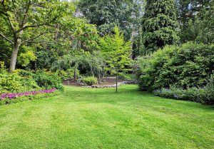 Optimiser l'expérience du jardin à Saint-Leger-en-Yvelines